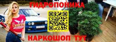 дмт Малоярославец